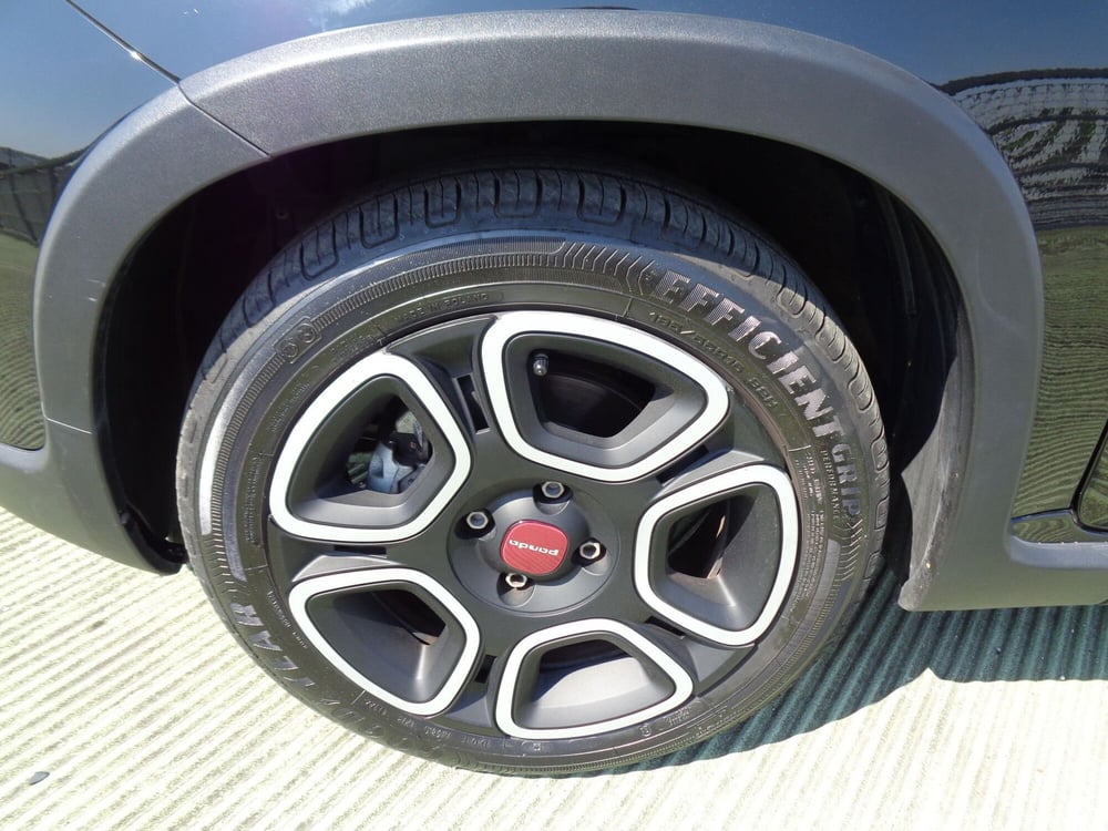 Fiat Panda usata a Treviso (6)
