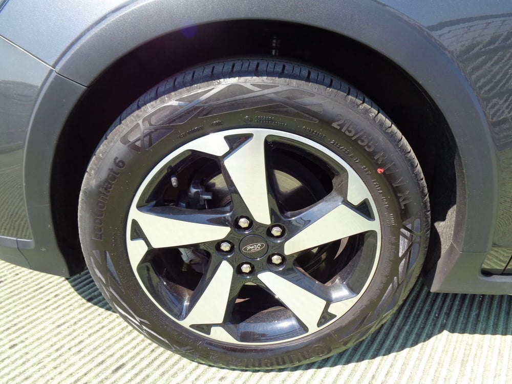 Ford Focus usata a Treviso (6)