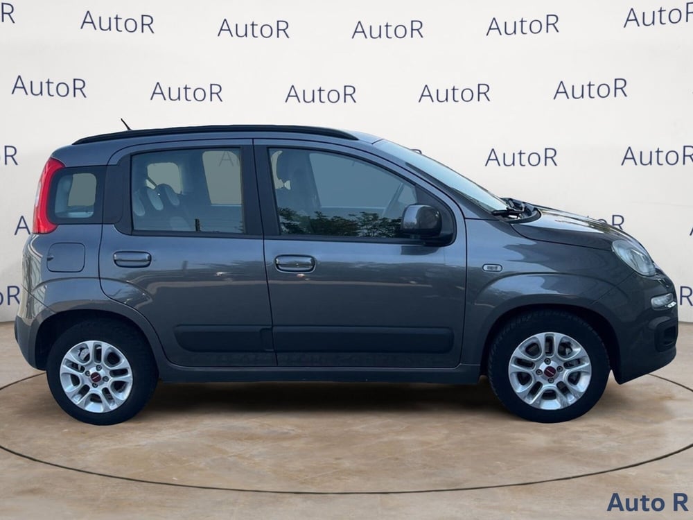 Fiat Panda usata a Potenza (4)