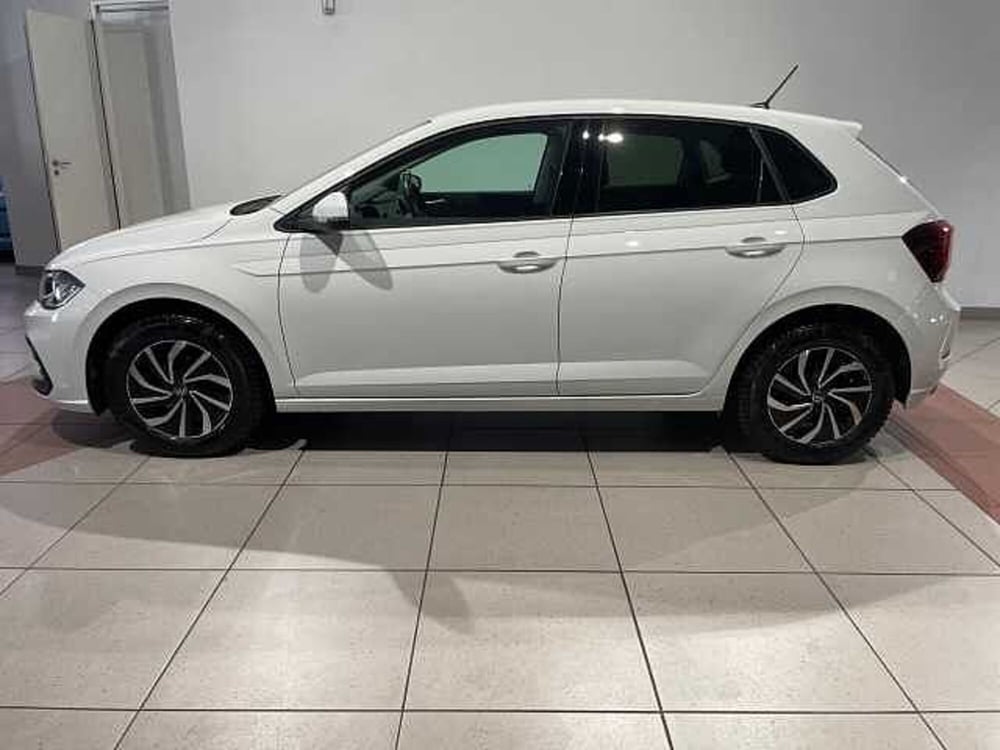 Volkswagen Polo usata a Genova (2)