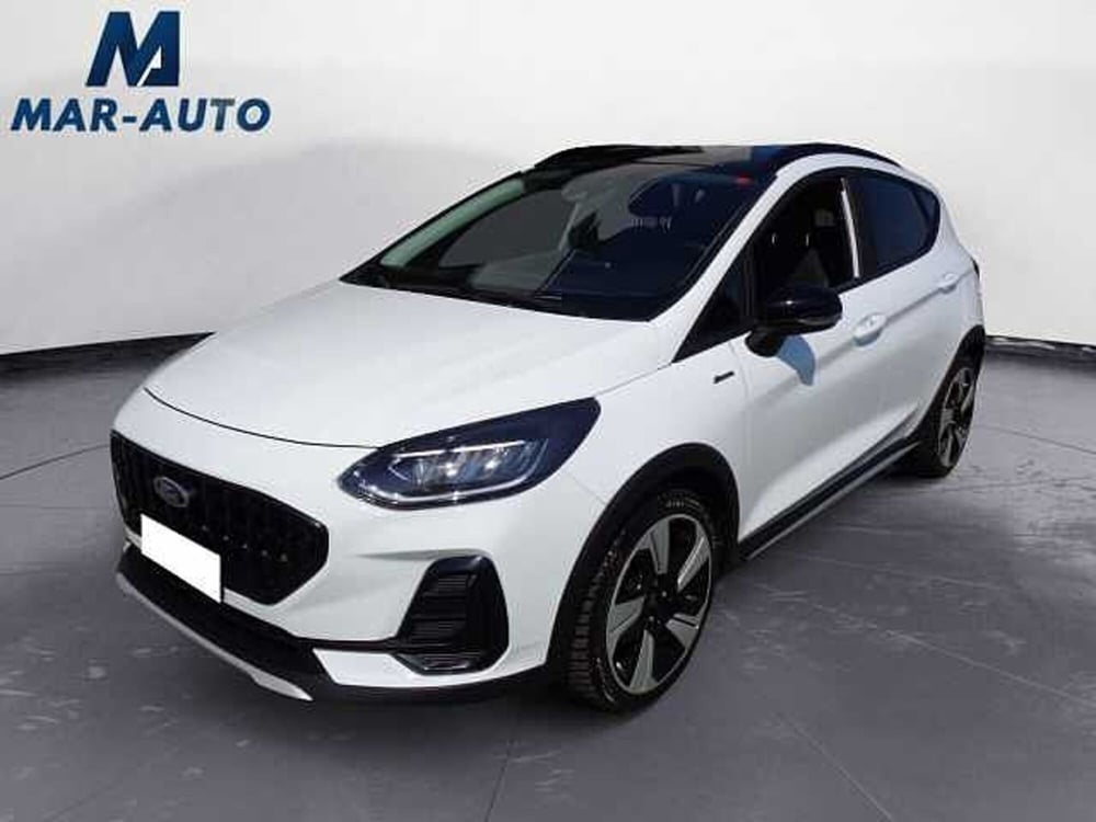 Ford Fiesta usata a Treviso