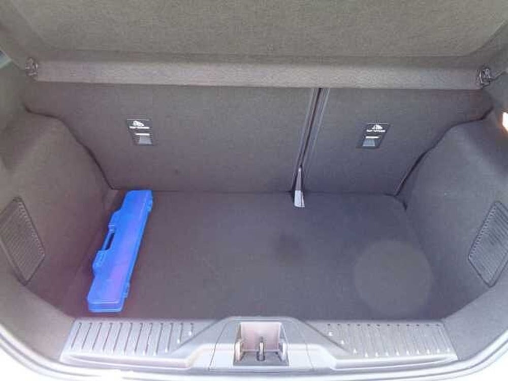 Ford Fiesta usata a Treviso (16)
