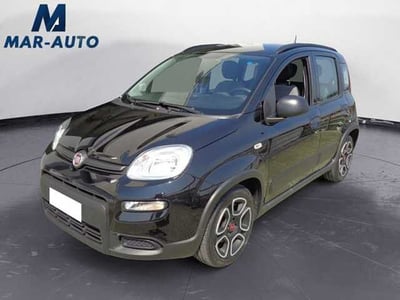 Fiat Panda 1.0 FireFly S&amp;S Hybrid City Cross del 2022 usata a Castelfranco Veneto