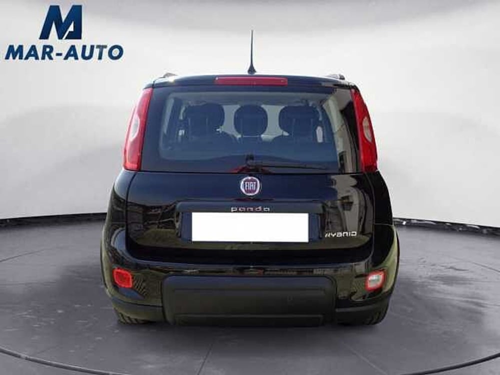 Fiat Panda usata a Treviso (18)