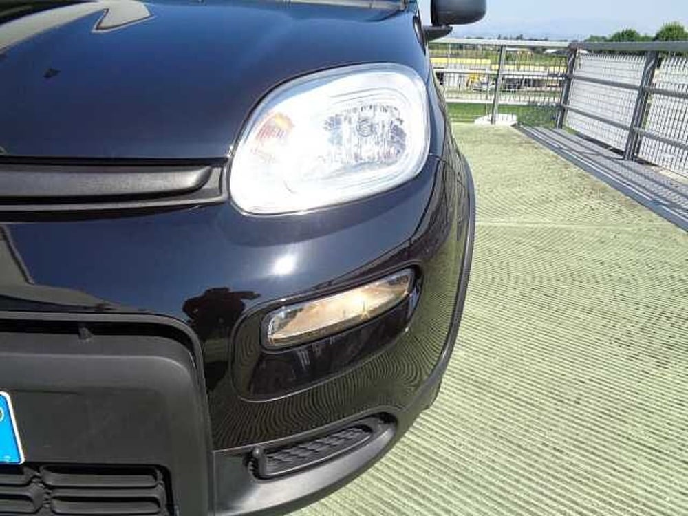 Fiat Panda usata a Treviso (5)