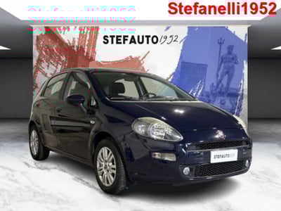 Fiat Punto 1.2 8V 5 porte Street del 2015 usata a Bologna