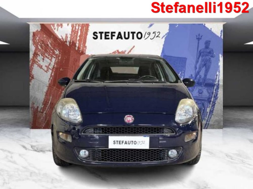 Fiat Punto usata a Bologna (2)