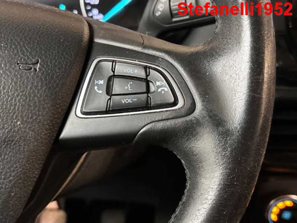 Ford EcoSport usata a Bologna (19)