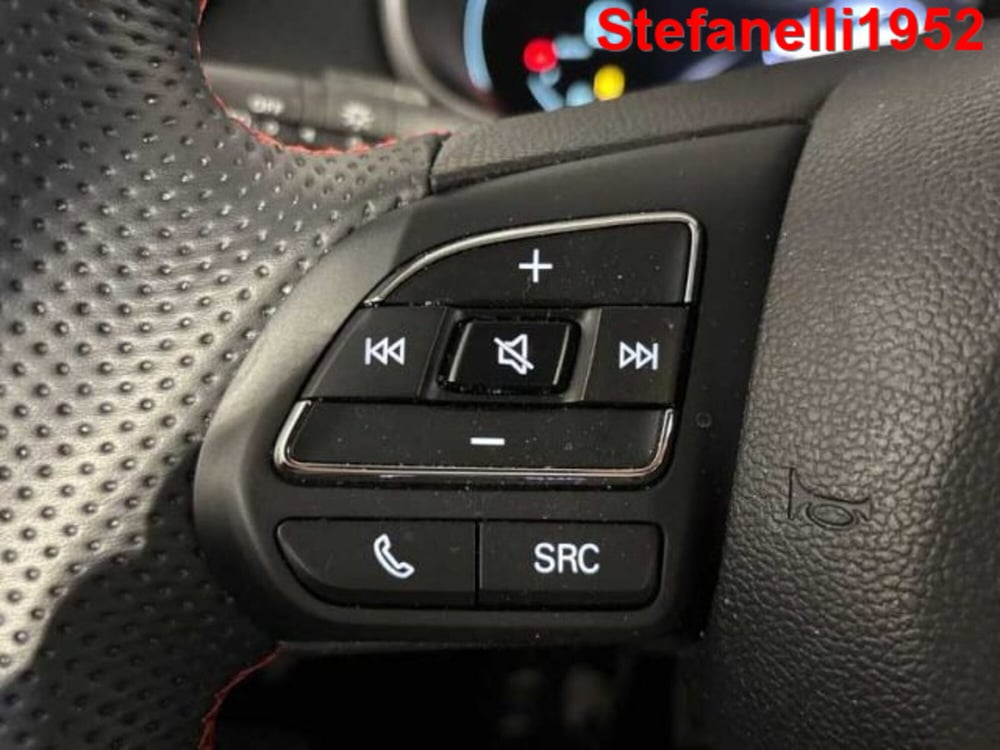 Mg ZS usata a Bologna (20)