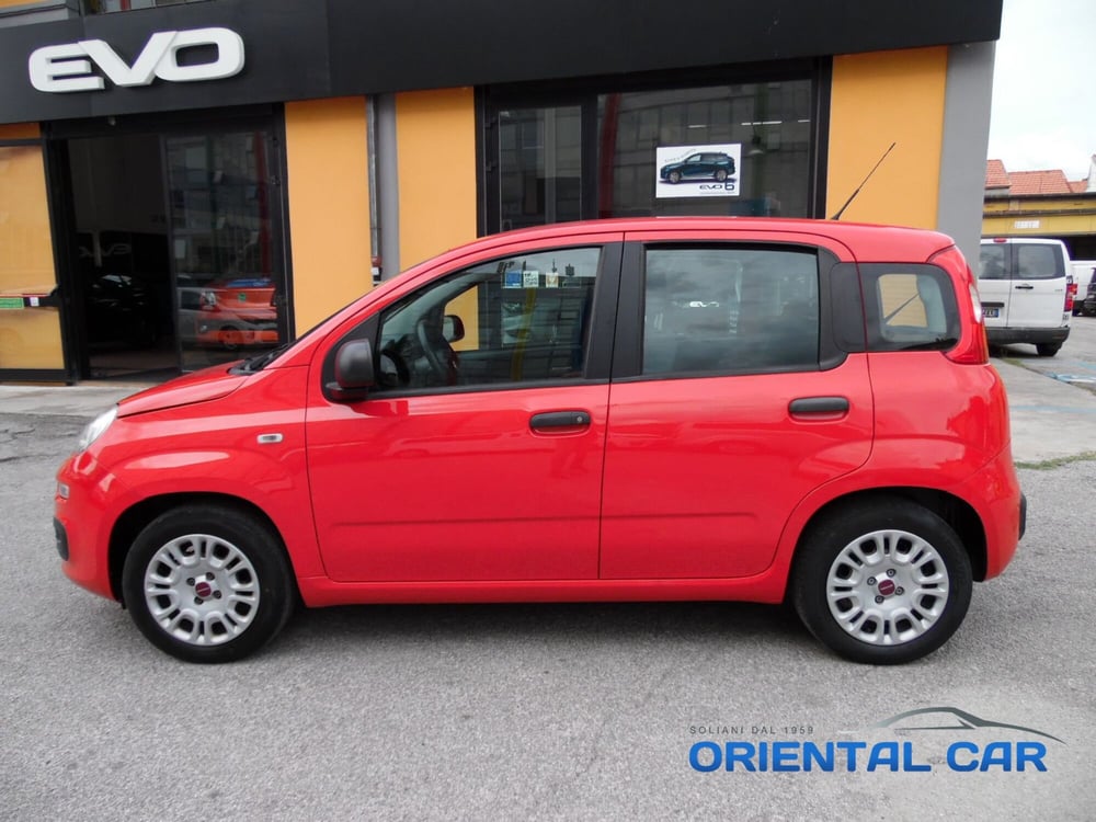 Fiat Panda usata a La Spezia (2)