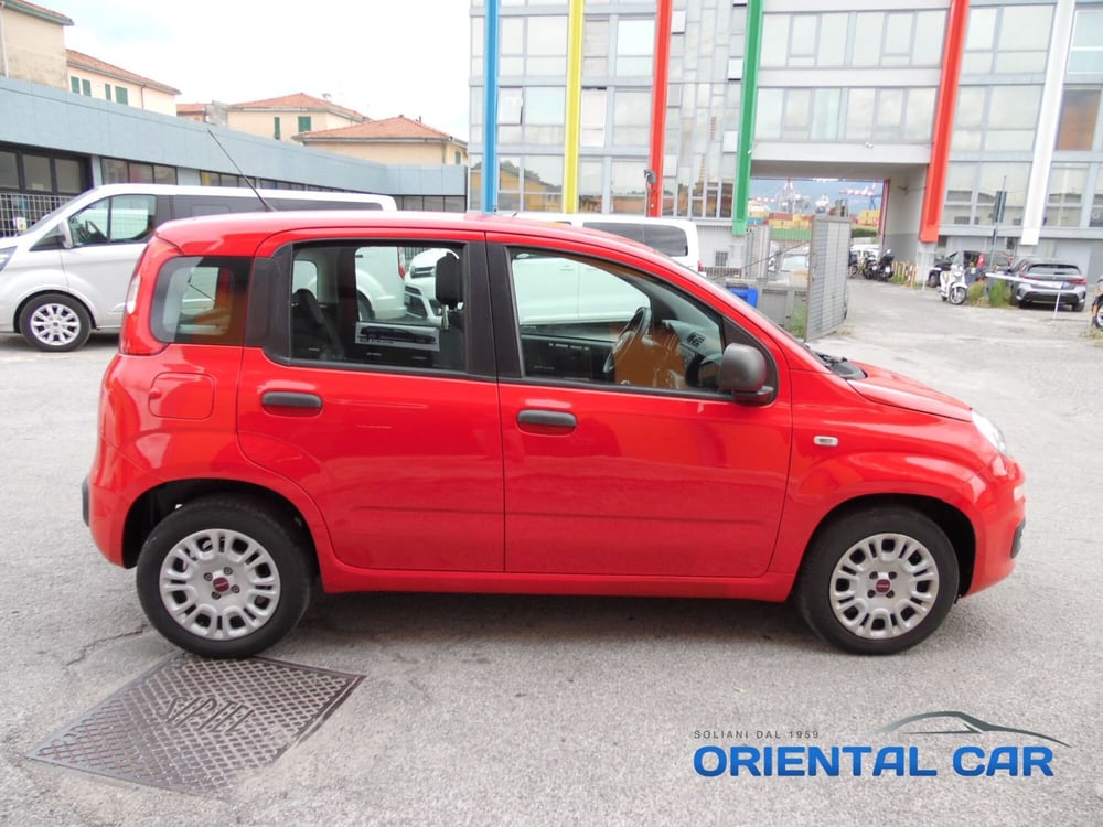 Fiat Panda usata a La Spezia (3)