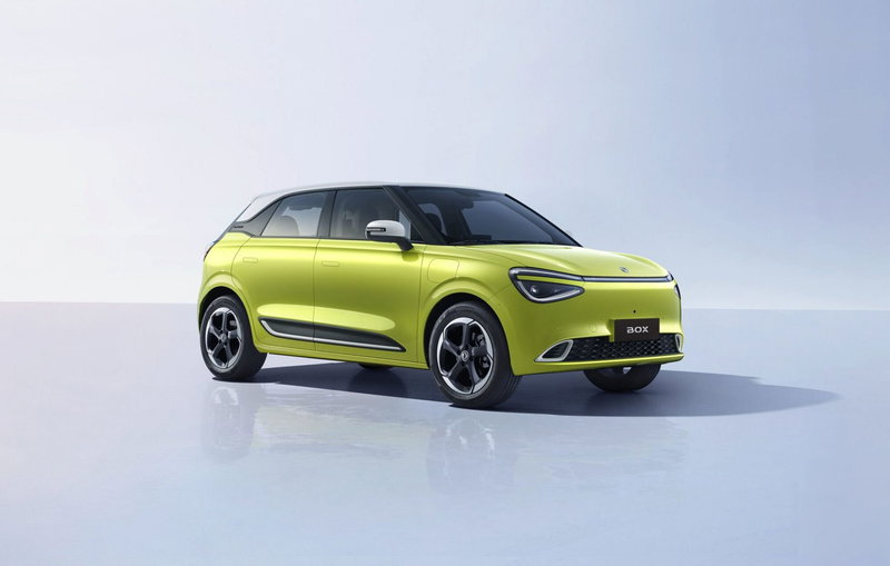 Dongfeng Box  nuova a Modena (15)