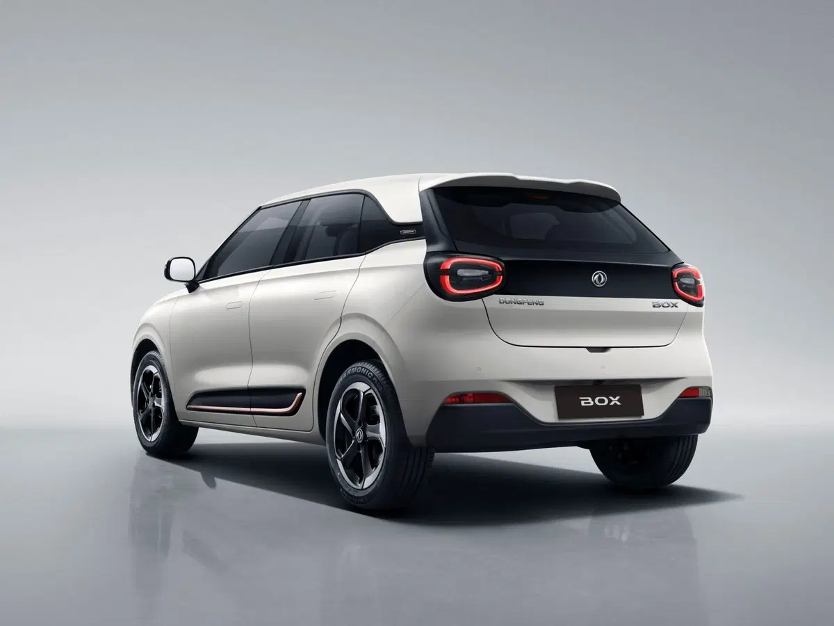 Dongfeng Box  nuova a Modena (4)