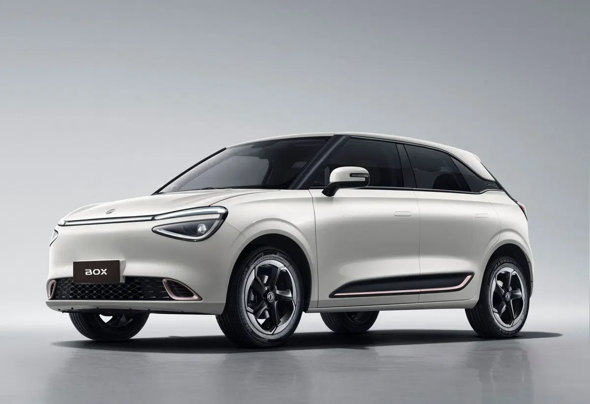 Dongfeng Box  nuova a Modena (5)