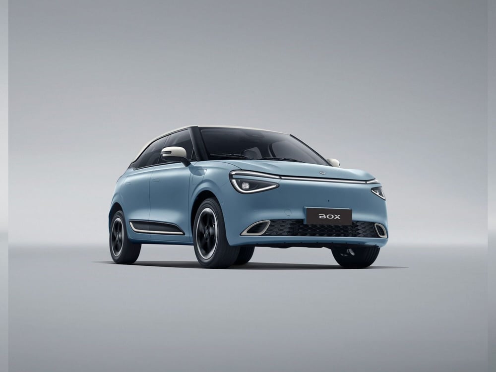 Dongfeng Box nuova a Modena (11)