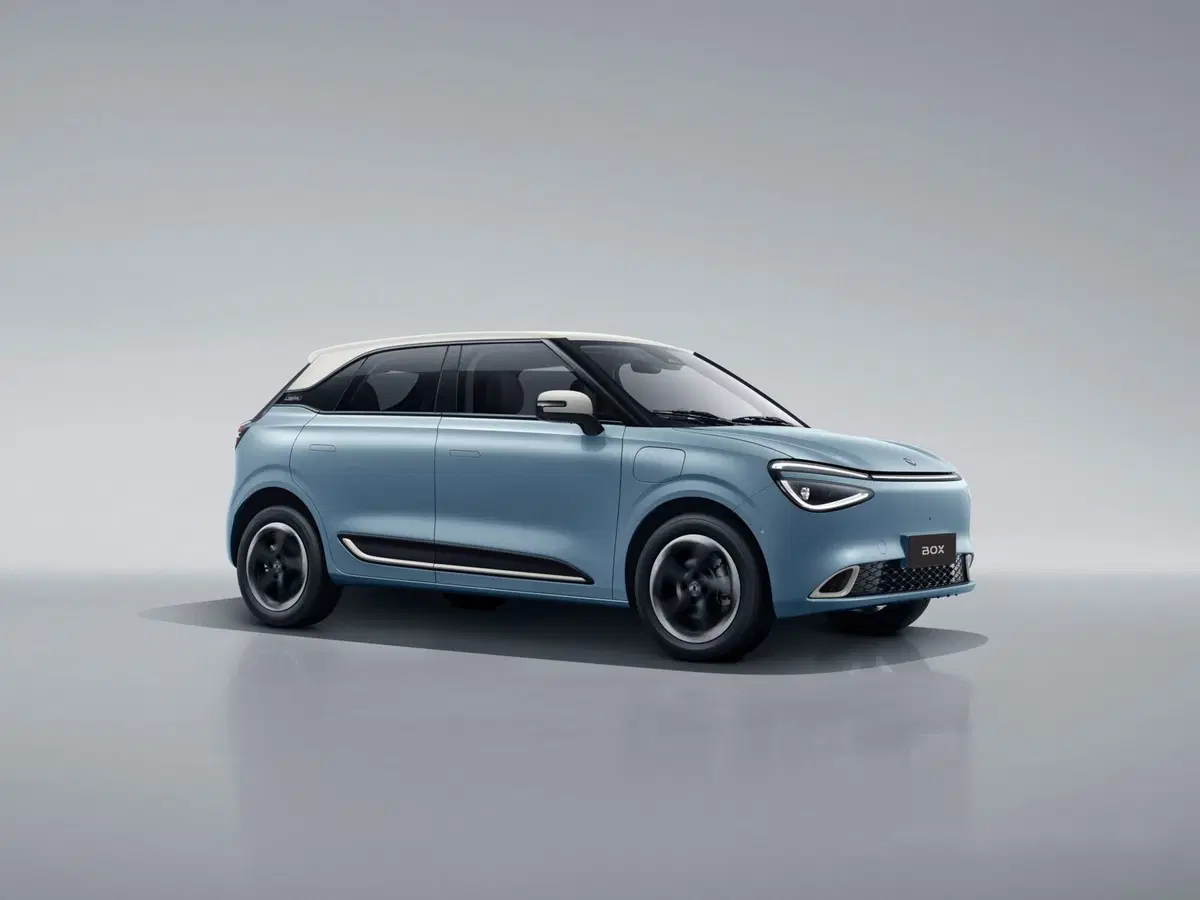 Dongfeng Box  nuova a Modena (15)