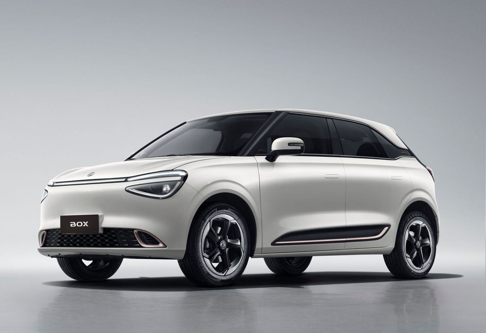 Dongfeng Box nuova a Modena (4)