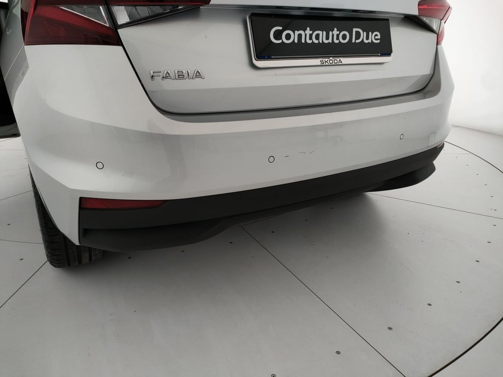 Skoda Fabia usata a Caserta (9)