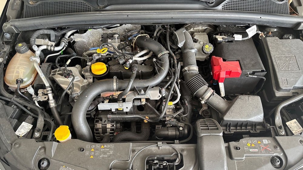 Renault Clio usata  (13)