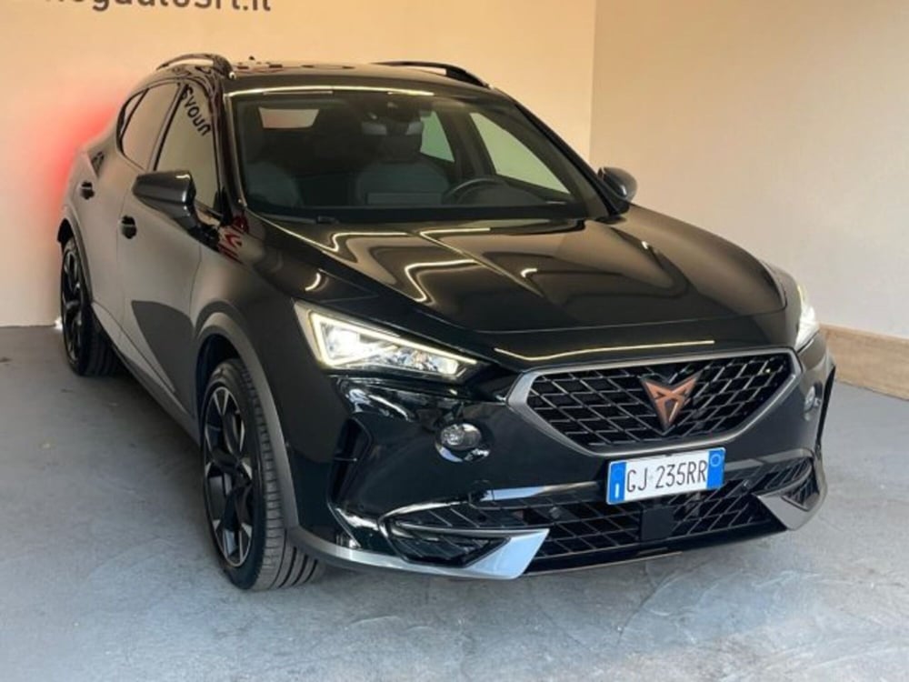 Cupra Formentor usata a Trapani (4)
