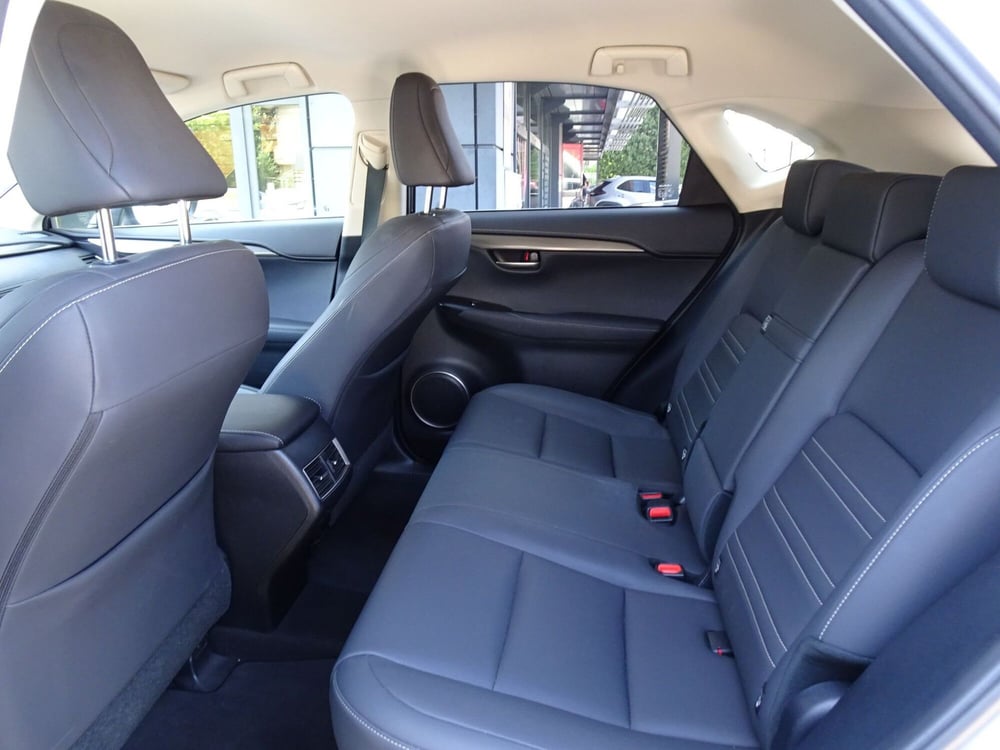 Lexus NX usata a Treviso (11)