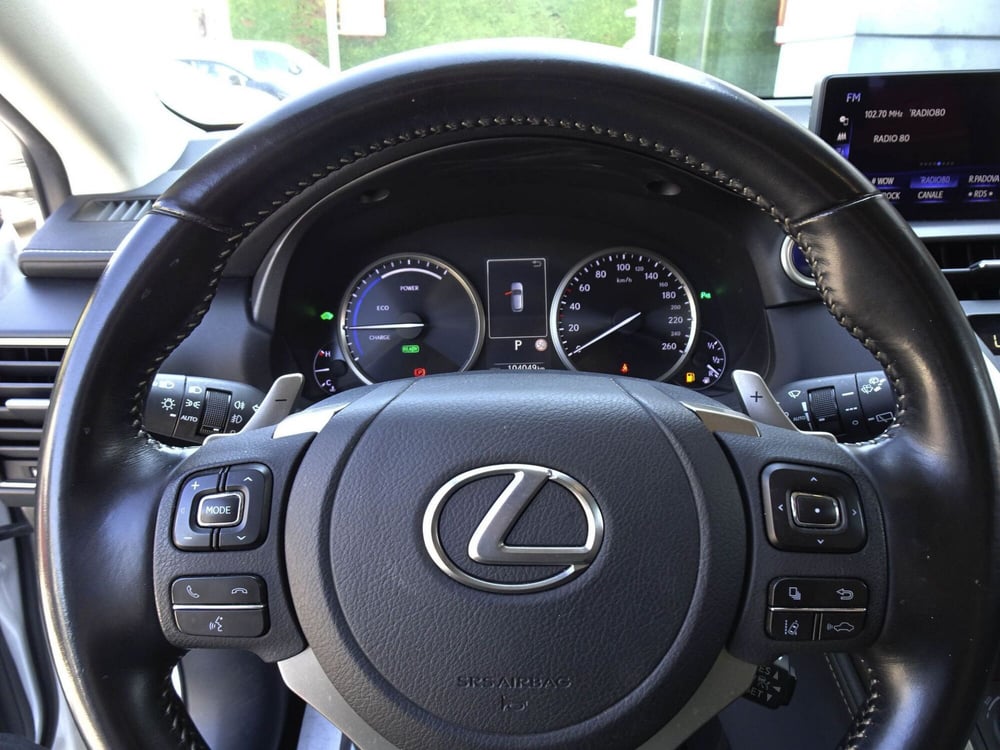 Lexus NX usata a Treviso (14)