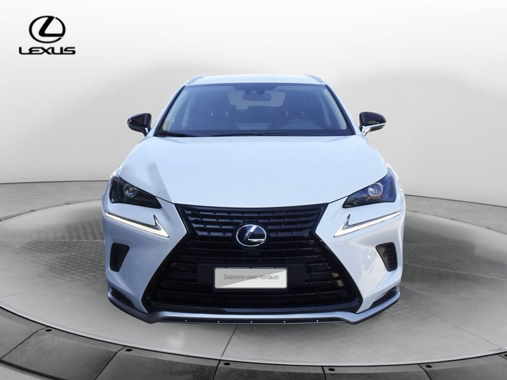 Lexus NX usata a Treviso (2)