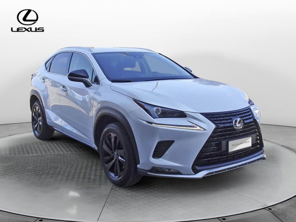 Lexus NX usata a Treviso (3)