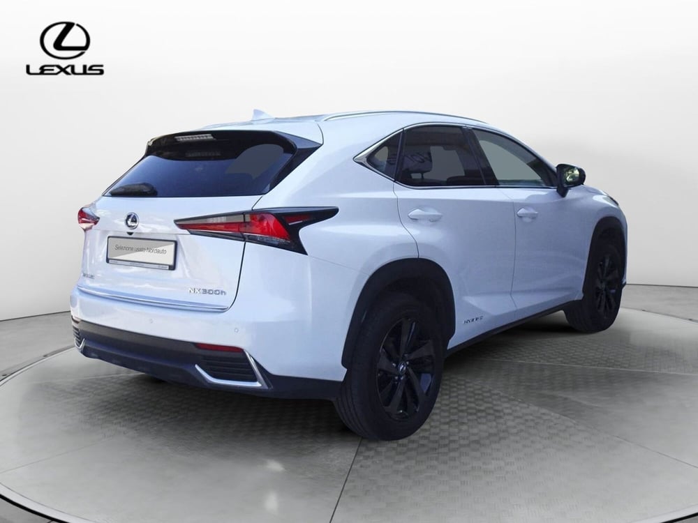 Lexus NX usata a Treviso (5)