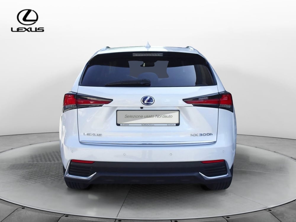 Lexus NX usata a Treviso (6)
