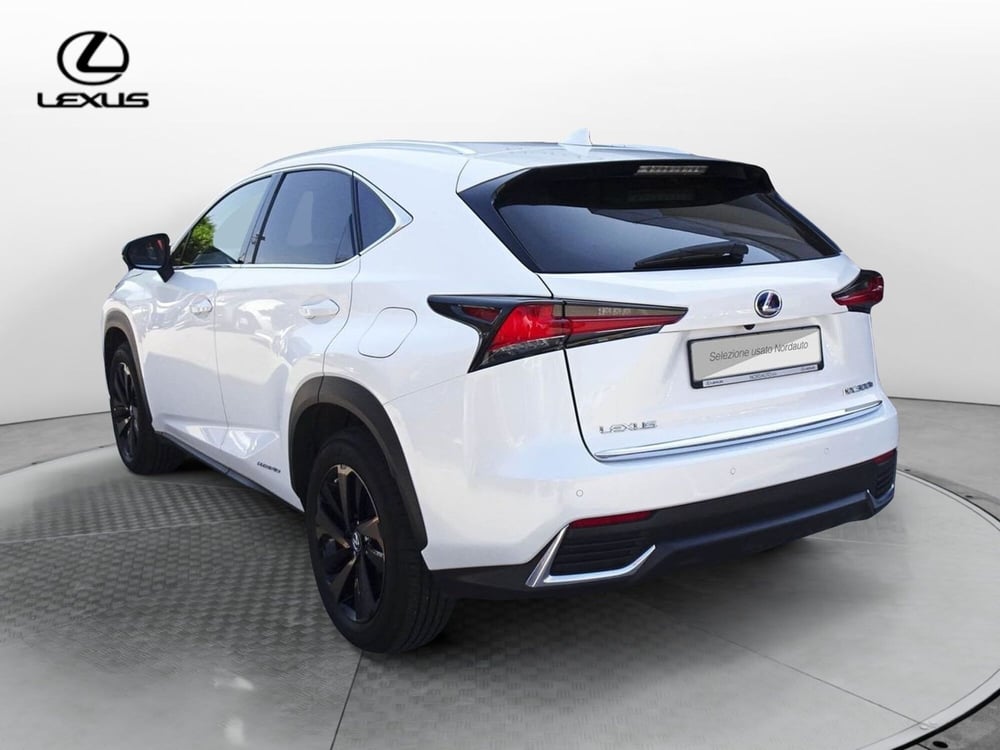 Lexus NX usata a Treviso (7)