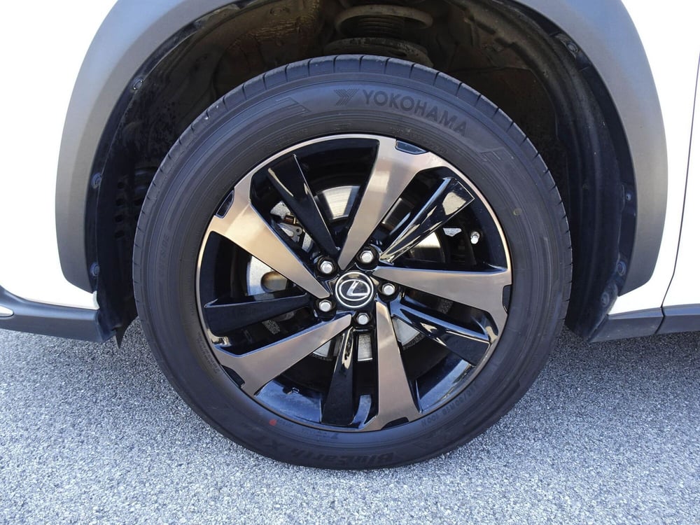 Lexus NX usata a Treviso (8)