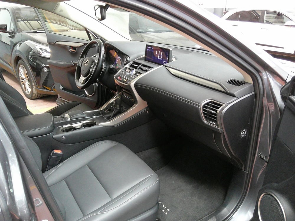 Lexus NX usata a Treviso (16)