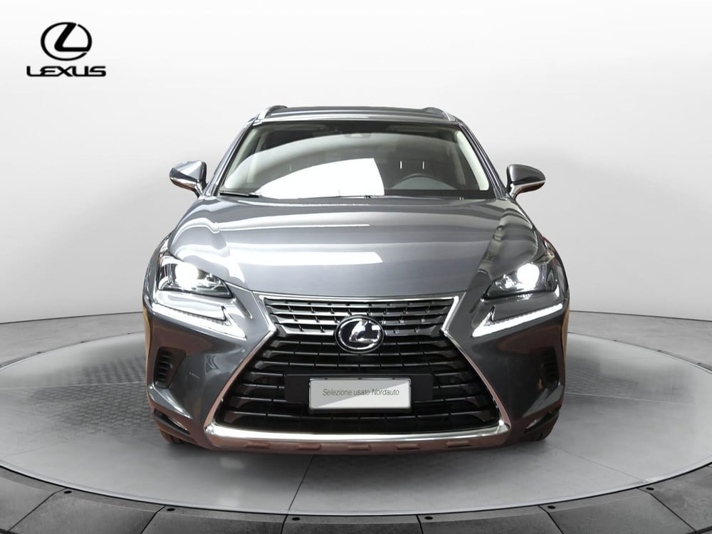 Lexus NX usata a Treviso (2)