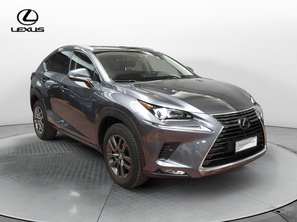 Lexus NX usata a Treviso (3)