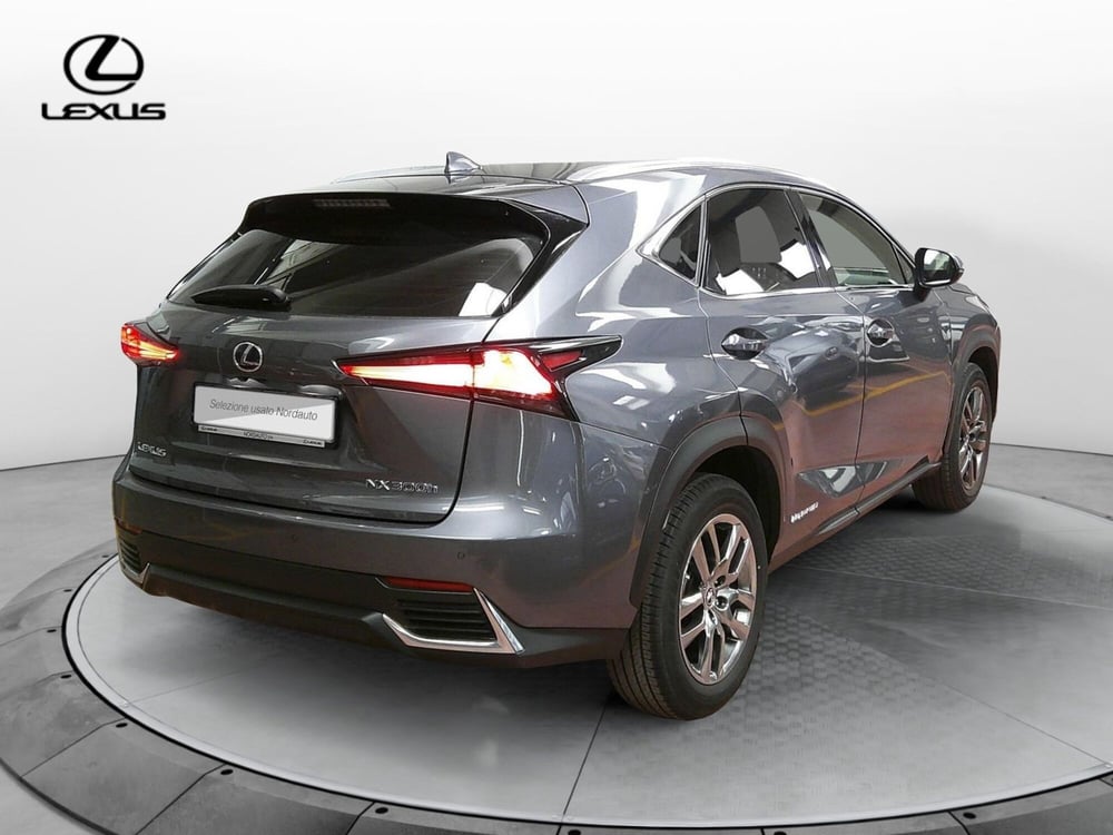 Lexus NX usata a Treviso (5)