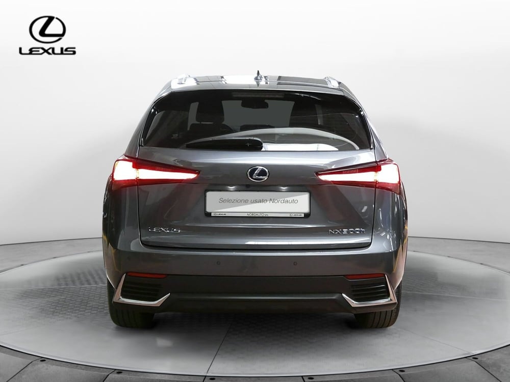 Lexus NX usata a Treviso (6)