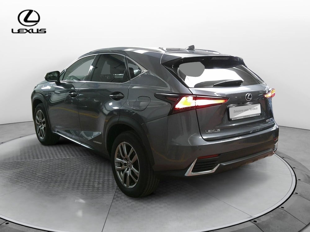 Lexus NX usata a Treviso (7)