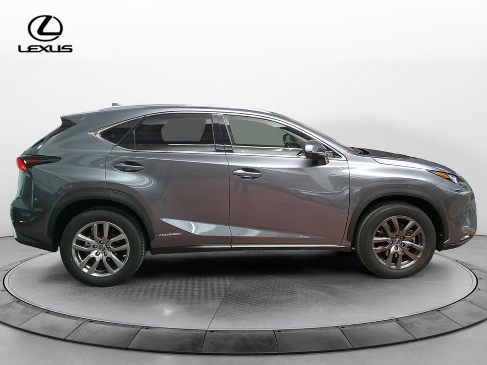 Lexus NX usata a Treviso (9)