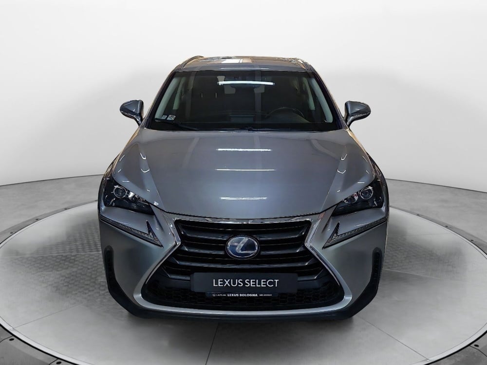 Lexus NX usata a Bologna (2)