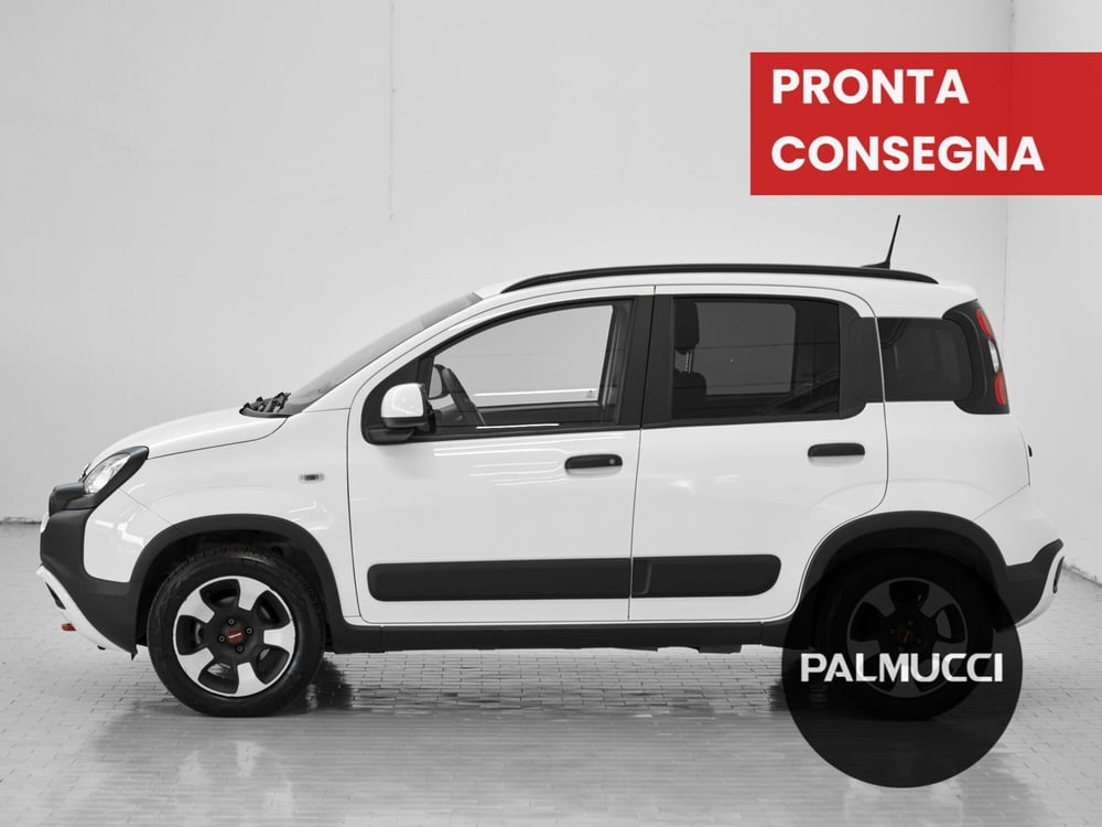 Fiat Panda Cross usata a Prato (3)