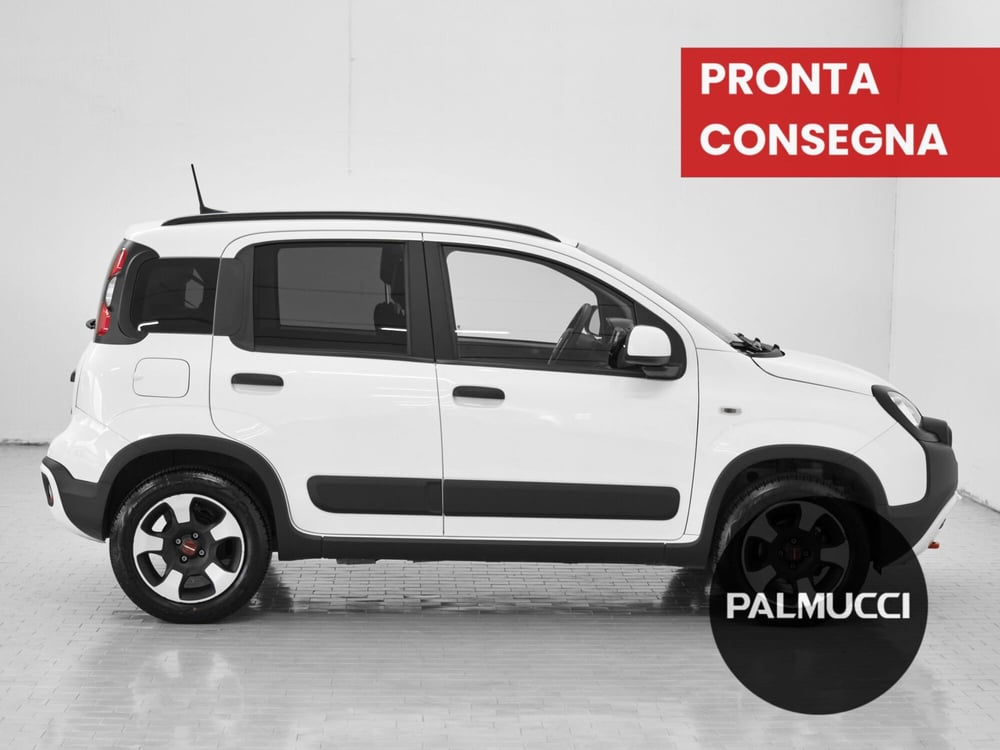 Fiat Panda Cross usata a Prato (4)
