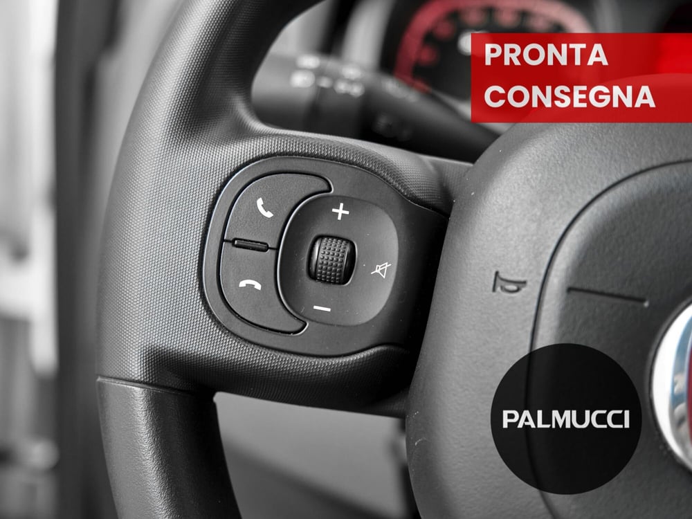 Fiat Panda Cross usata a Prato (6)