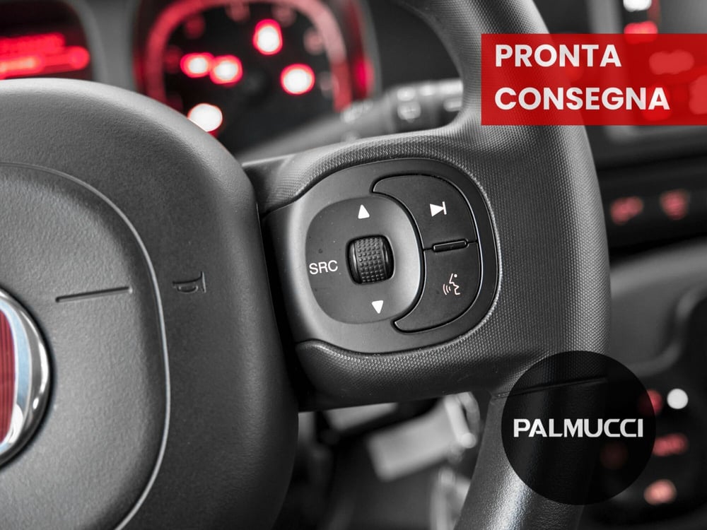 Fiat Panda Cross usata a Prato (7)