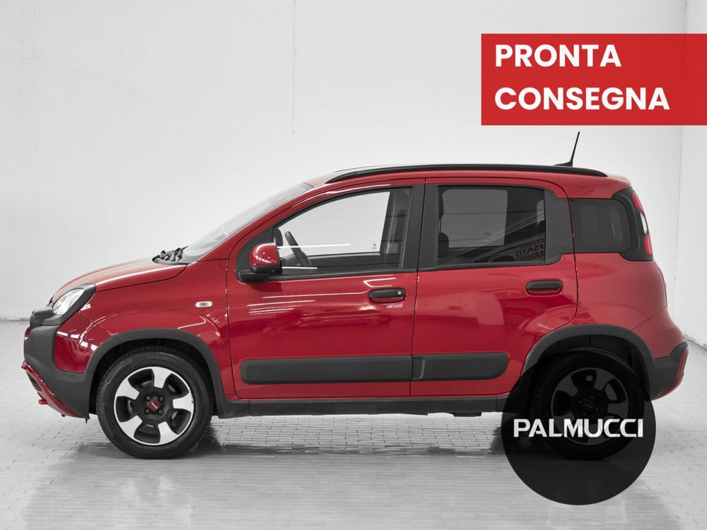 Fiat Panda Cross usata a Prato (2)
