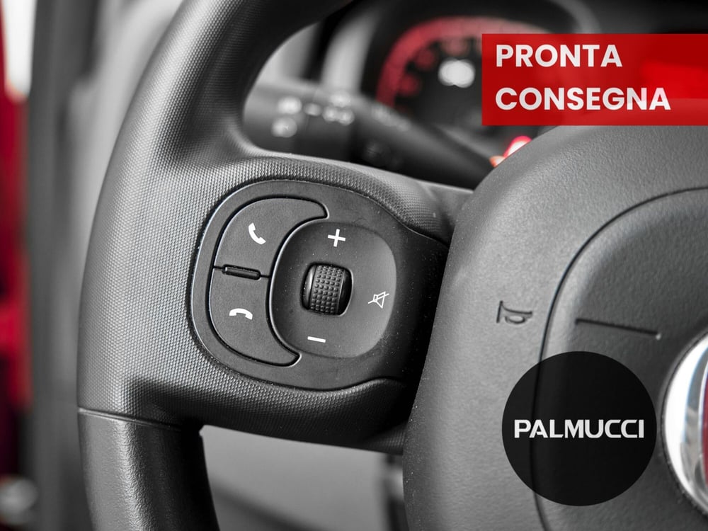 Fiat Panda Cross usata a Prato (6)