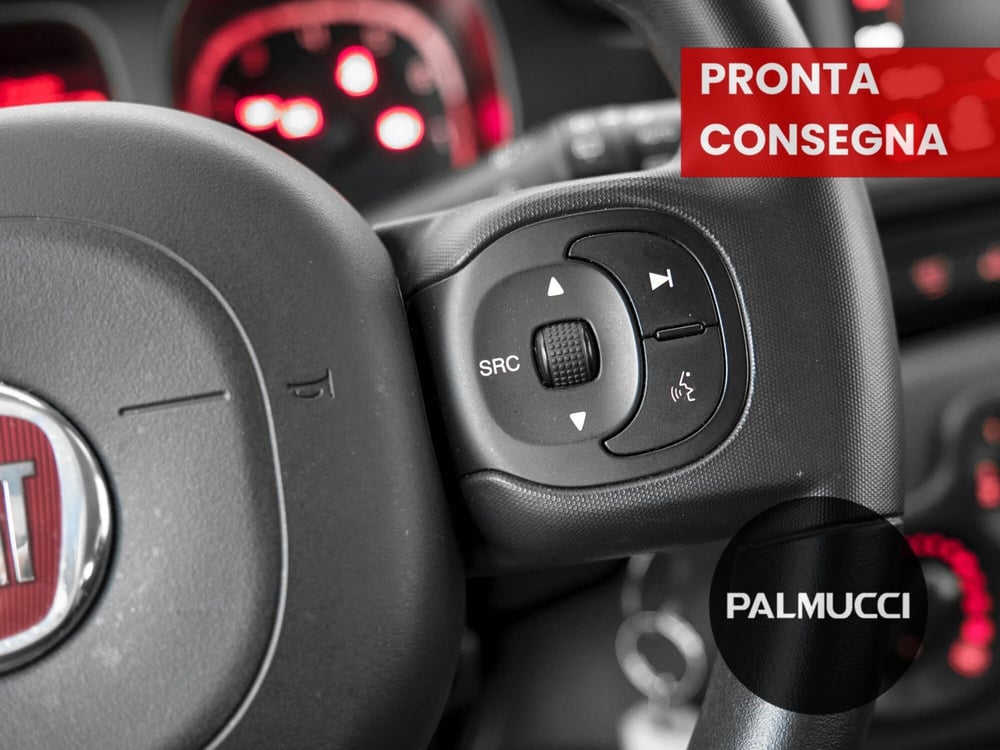 Fiat Panda Cross usata a Prato (7)