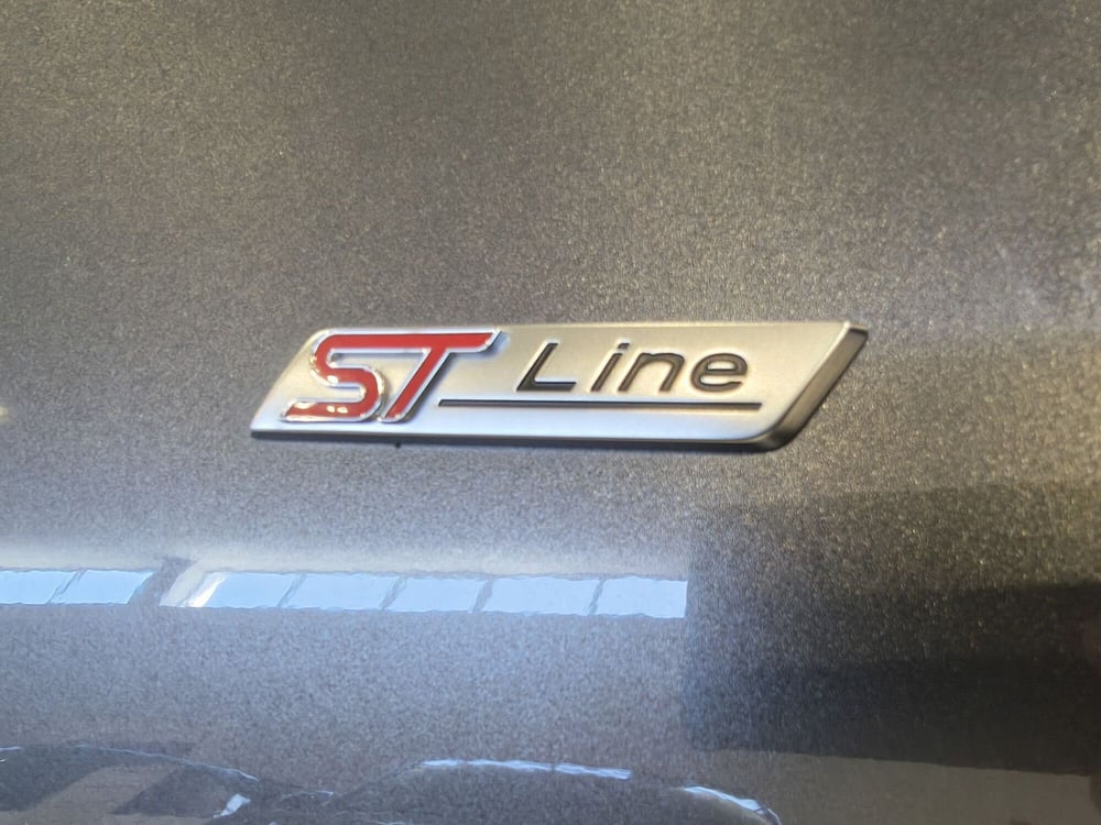 Ford Puma usata a Vercelli (8)
