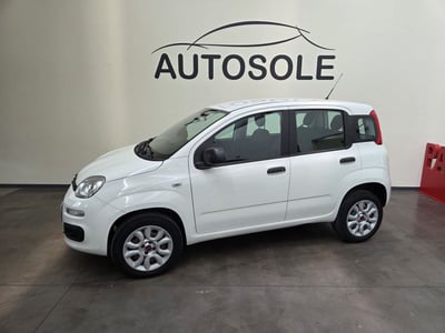 Fiat Panda 0.9 TwinAir Turbo Natural Power Easy del 2019 usata a Dolce&#039;