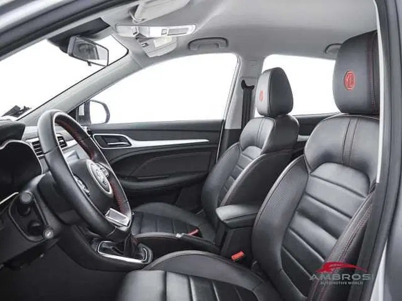 Mg ZS usata a Perugia (9)